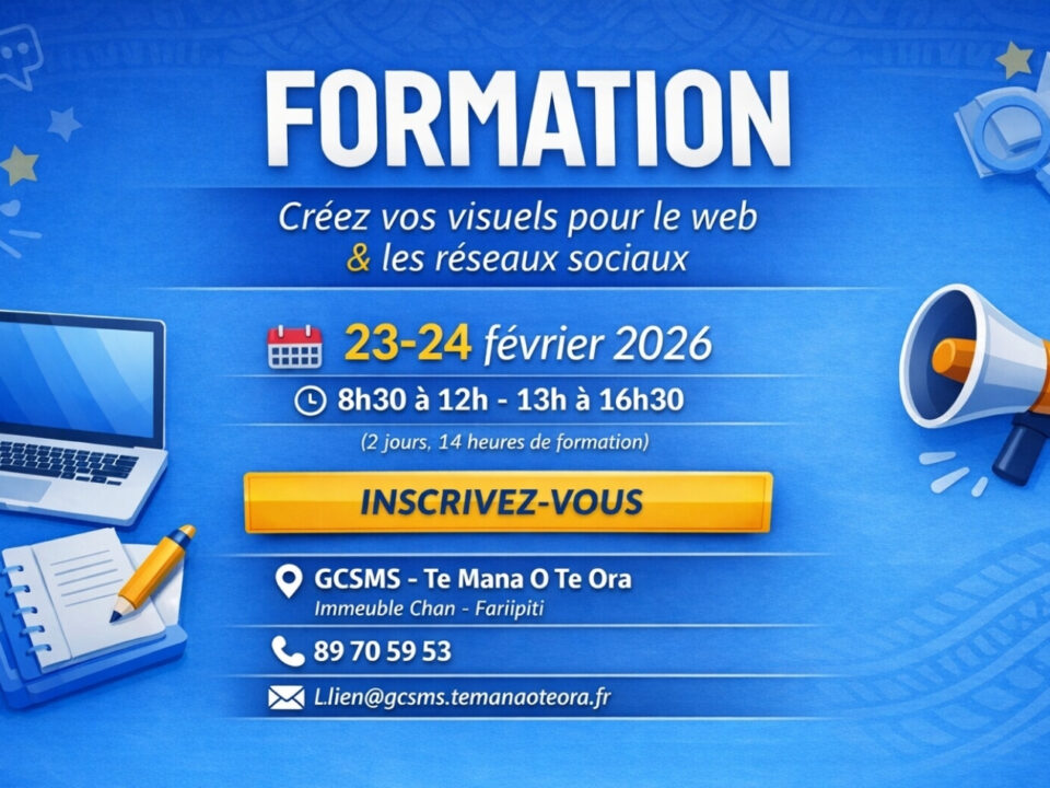 Formation web réseaux sociaux